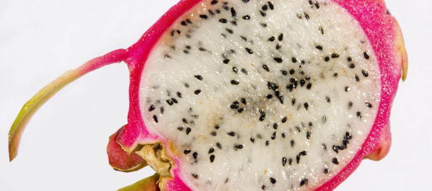 Why you should try Pitaya (commonly known as dragonfruit) + VIDEOS