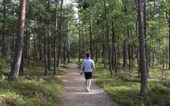 IMPORTANT TIPS! How to survive in Swedish nature, How do you protect yourself from a bear attack? + 10 dos and don’ts