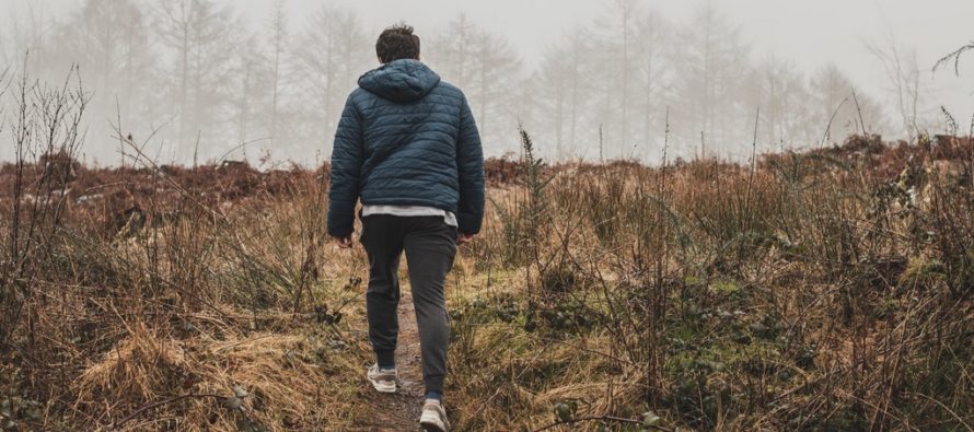 Finnish gentleman discovers tick trap – during testing 100 ticks were collected in 15 minutes