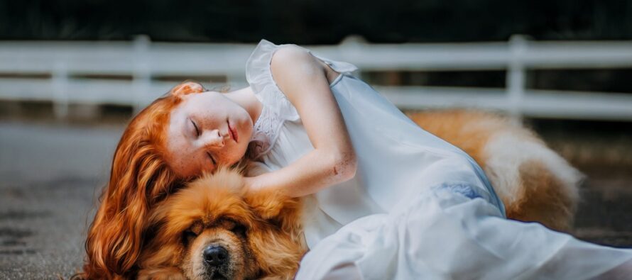 STUDY: Sleeping with your DOG in bed ensures better sleep
