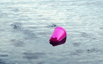 Plastic pollution no more – Nordic report suggests tools and ways forward