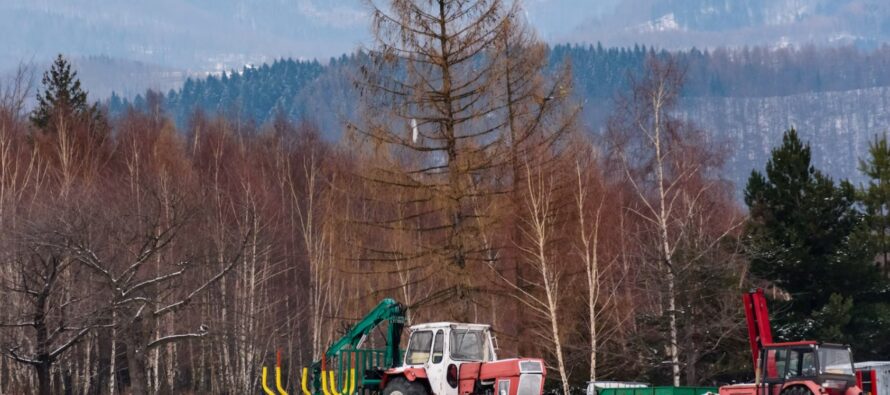 Finland started building a fence on the Russian border