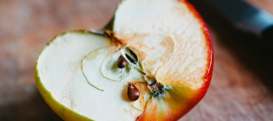 Let’s make it clear: IS the substance in the apple seeds damaging your health or not