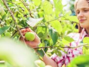 Which is HEALTHIER: Eating apples with or without skin?