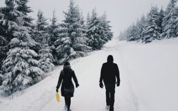 Estonia: A Winter Wonderland for tech-savvy nature lovers + GALLERY!